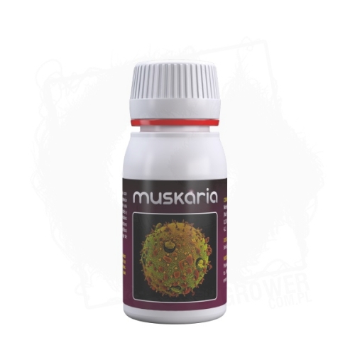 Muskaria 60ML BT.jpg