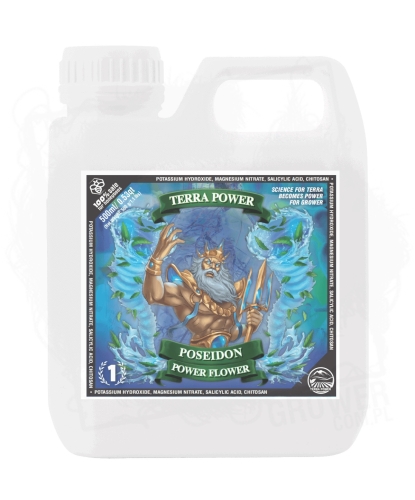 POSEIDON - POWER FLOWER.jpg