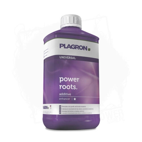 Power roots 1 BT.jpg