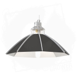 Daisy ?60 cm 1 BT.jpg