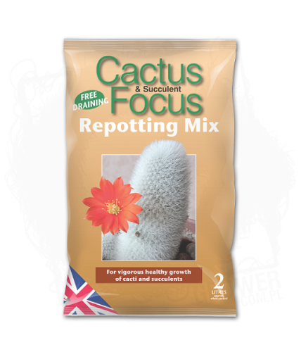 Cactus & Succulent Focus Repotting Mix 2L.jpg