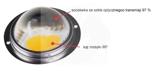 soczewka 2.jpg