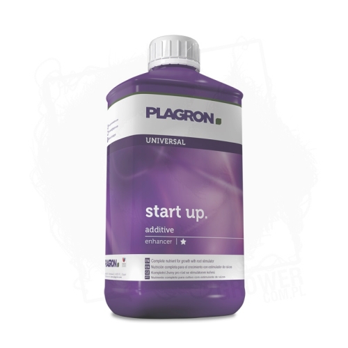 Start Up BT.jpg