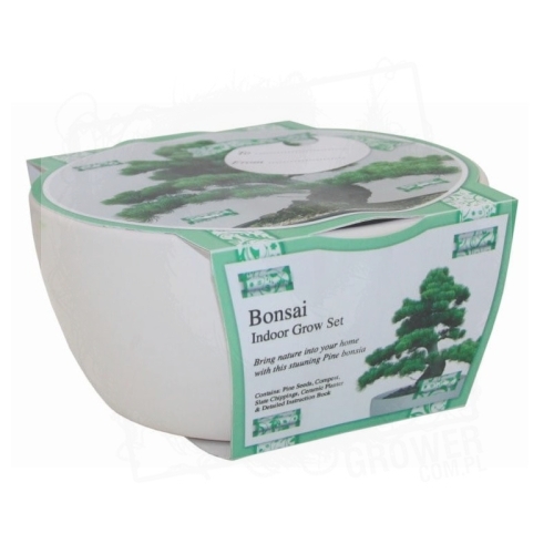 Bonsai Grow Set Pine Tree 1.jpg