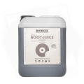 ROOT-JUICE 5L.jpg