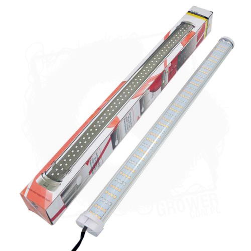 LED Secret Jardin TLED BLOOM BT.jpg
