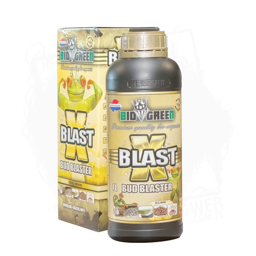 X-BLAST-1L BT.jpg