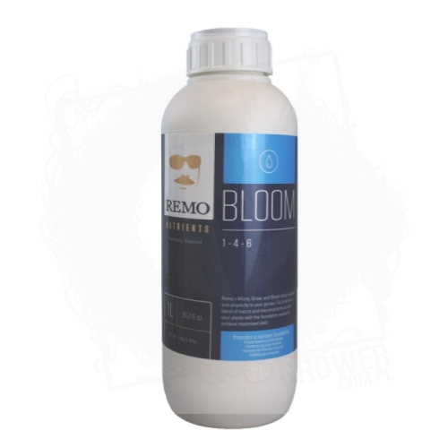 remo-bloom-1L.jpg