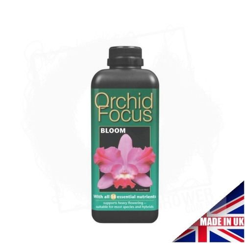orchid focus bloom 1L.jpg