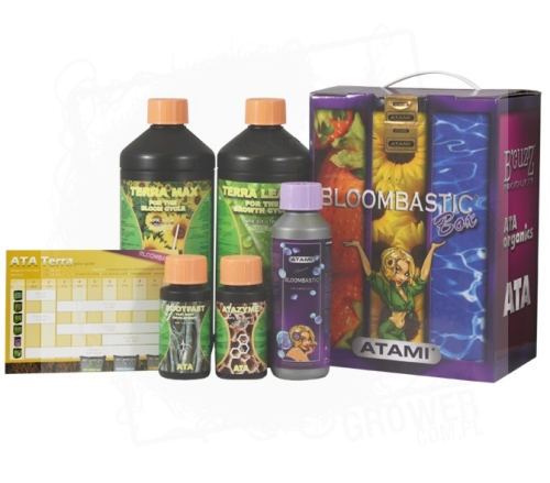 ATA Terra Bloombastic Box.jpg