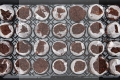Rhiza Plug 3.jpg