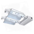 Nanolux 2x600W HPS DE 1.jpg
