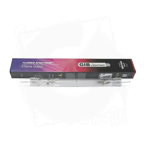 GIB Lighting 1000W 400Volt Double Ended.jpg