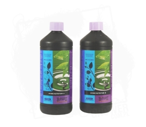 B`Cuzz Hydro Nutrition A&B 2x1L - nawóz na wzrost i kwitnienie