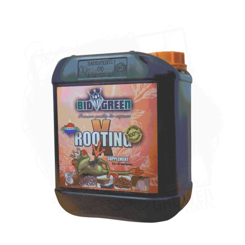X-ROOTING-5L BT.jpg