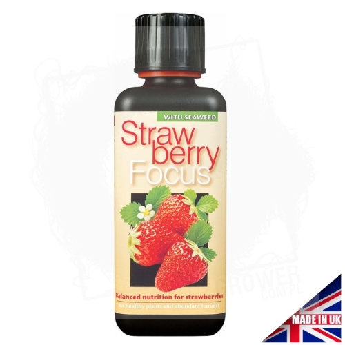 Strawberry Focus 300 ml.jpg