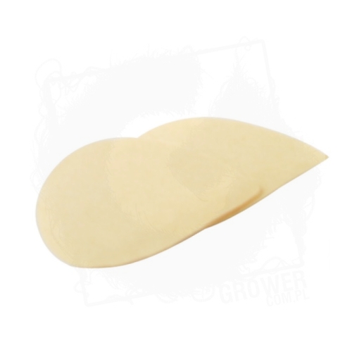 Honey Bee eXtractors filtr.jpg