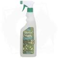 CANNACURE Spray-750ml.jpg