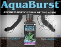 Aqua-Burst test 2.jpg