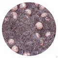 Plagron Hydro Cocos 60-40 45L podloza hydro i kokosowe 2.jpg