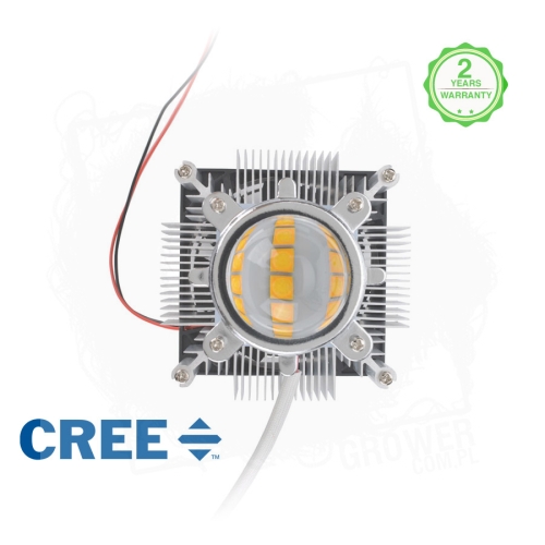 cree_cob_nude 1.jpg