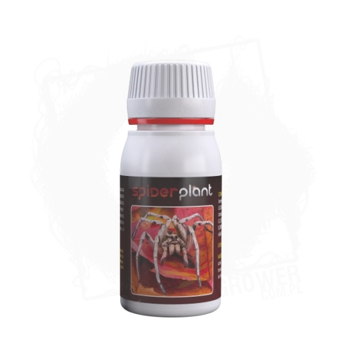 Spiderplant 60ml BT.jpg
