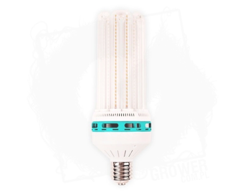 greenline energy saving lamp solux.jpg