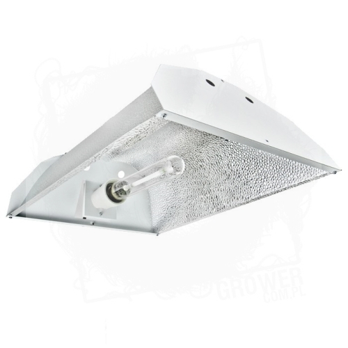 MaxiBright Super Nowa 1.jpg