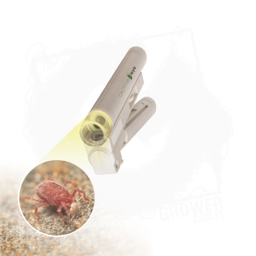 Acttive eye illuminated Microscope 3 BT.jpg