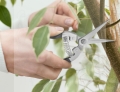 Herbgarden Spring Scissors nozyczki do przycinania roslin 6.jpg