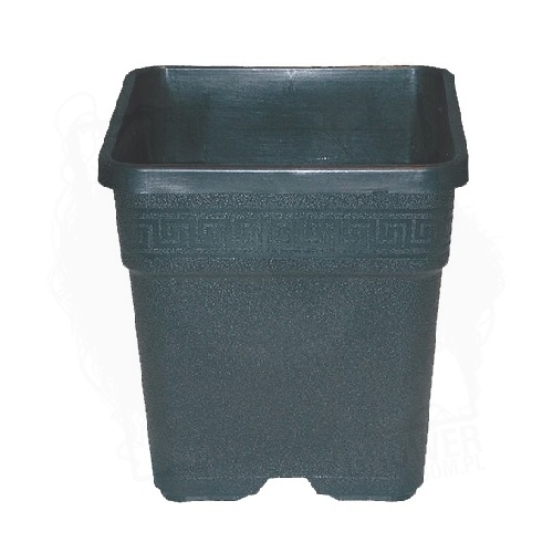 donica IT 14L.jpg