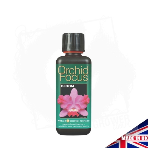 orchid focus bloom 300ml.jpg