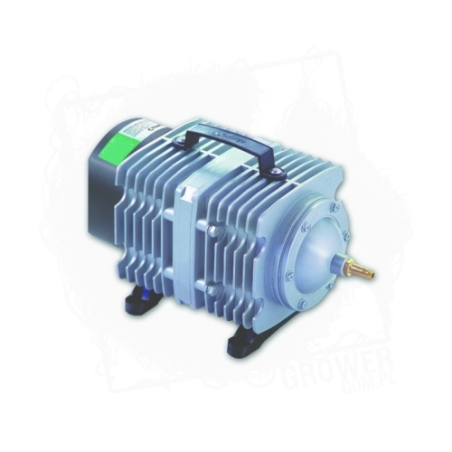 HAILEA ACO 009 BT.jpg