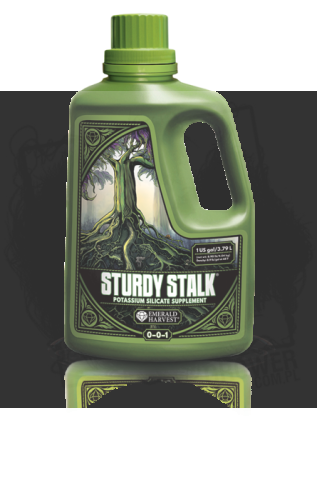 sturdy stalk 1.png