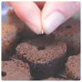 ROOT! T Natural Sponge naturalne gąbki torfowe 50szt  (3).jpg
