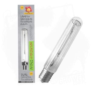 Lampa/żarówka VF Resin+ 250W DUAL na obie fazy