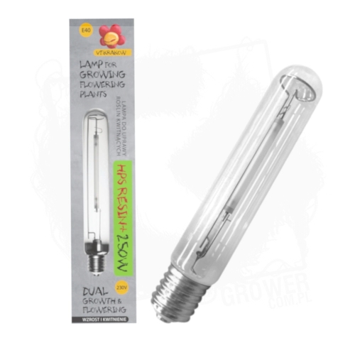 resin 250w dual 1.jpg