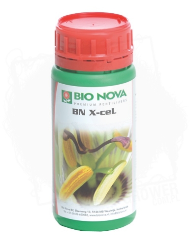 BN X-CEL 250ML.jpg
