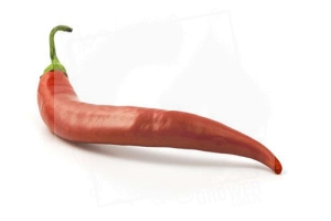 Papryka Chili (Chili Pepper)