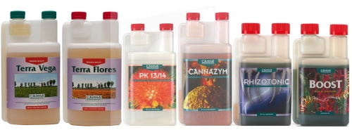 Canna Set 2.jpg