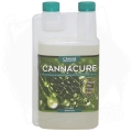CANNACURE-1L.jpg