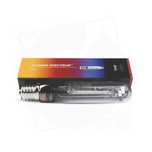 250W GIB FS PRO.jpg