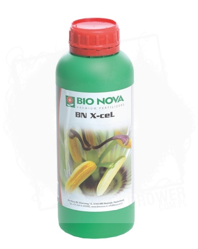 BN X-CEL 1L.jpg