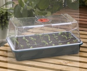 Mini szklarenka / propagator mała- do ukorzeniania i kiełkowania 37.5 x 23 x h18 cm 