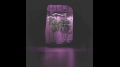 LuckyGrow550  (11).jpg