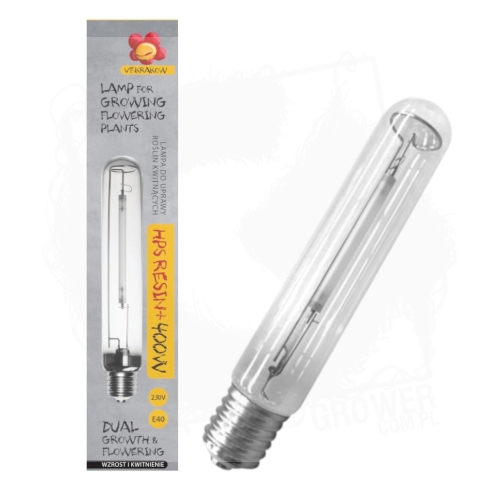 resin 400w dual 1.jpg