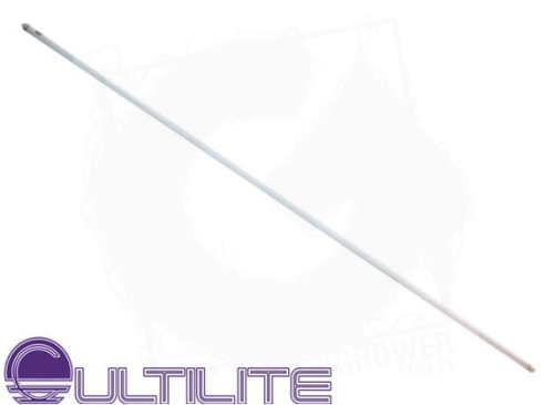T5.jpg