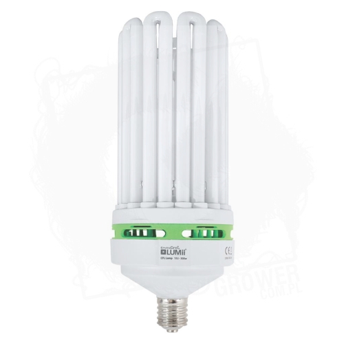 Super Cool 300W 1 BT.jpg