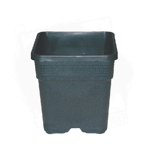donica IT 9L.jpg
