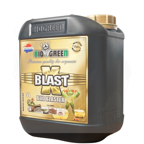 X-BLAST-5L BT.jpg